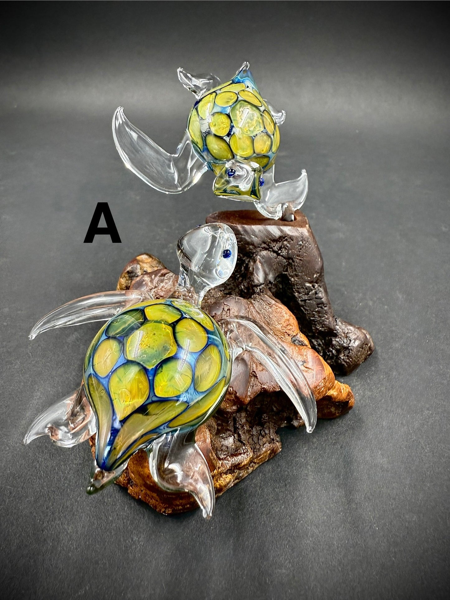 Exotic Sea Turtle Pair