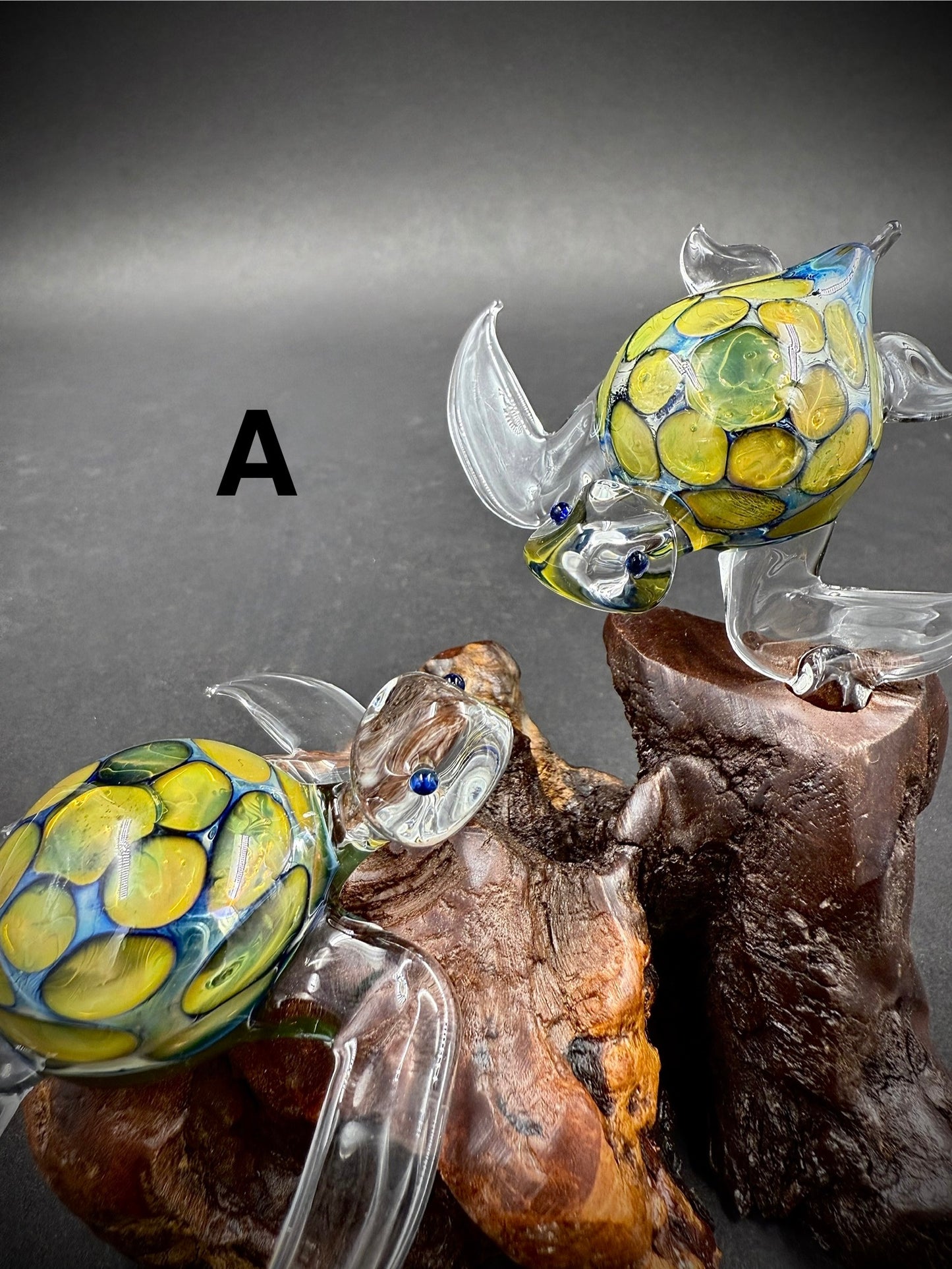 Exotic Sea Turtle Pair