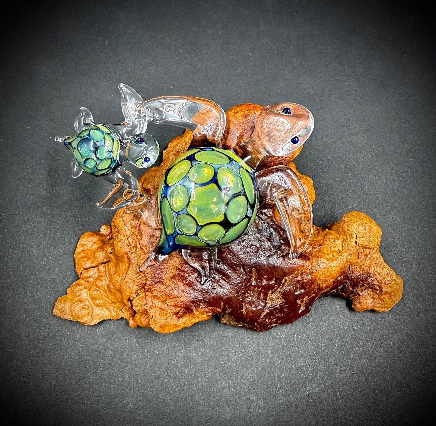 Mother and Child Hawaiian Sea Turtles