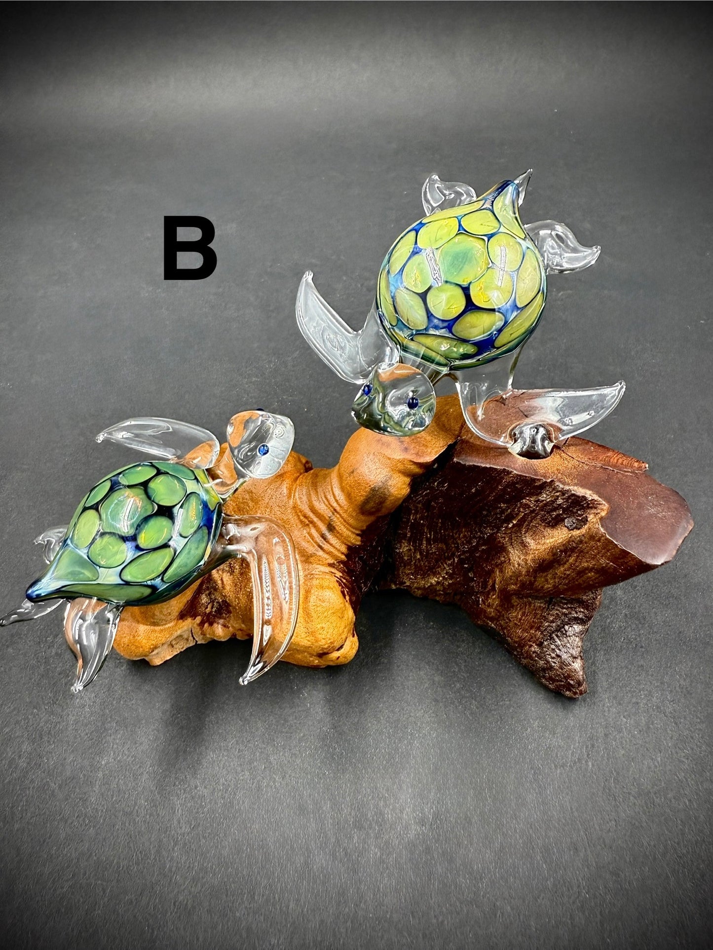 Exotic Sea Turtle Pair