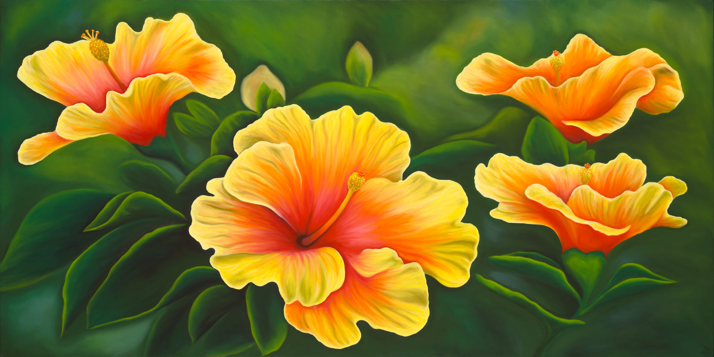 Hibiscus Limited Edition Giclee