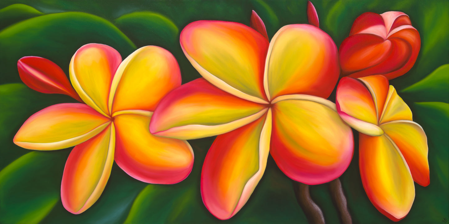 Plumerias Limited Edition Giclee