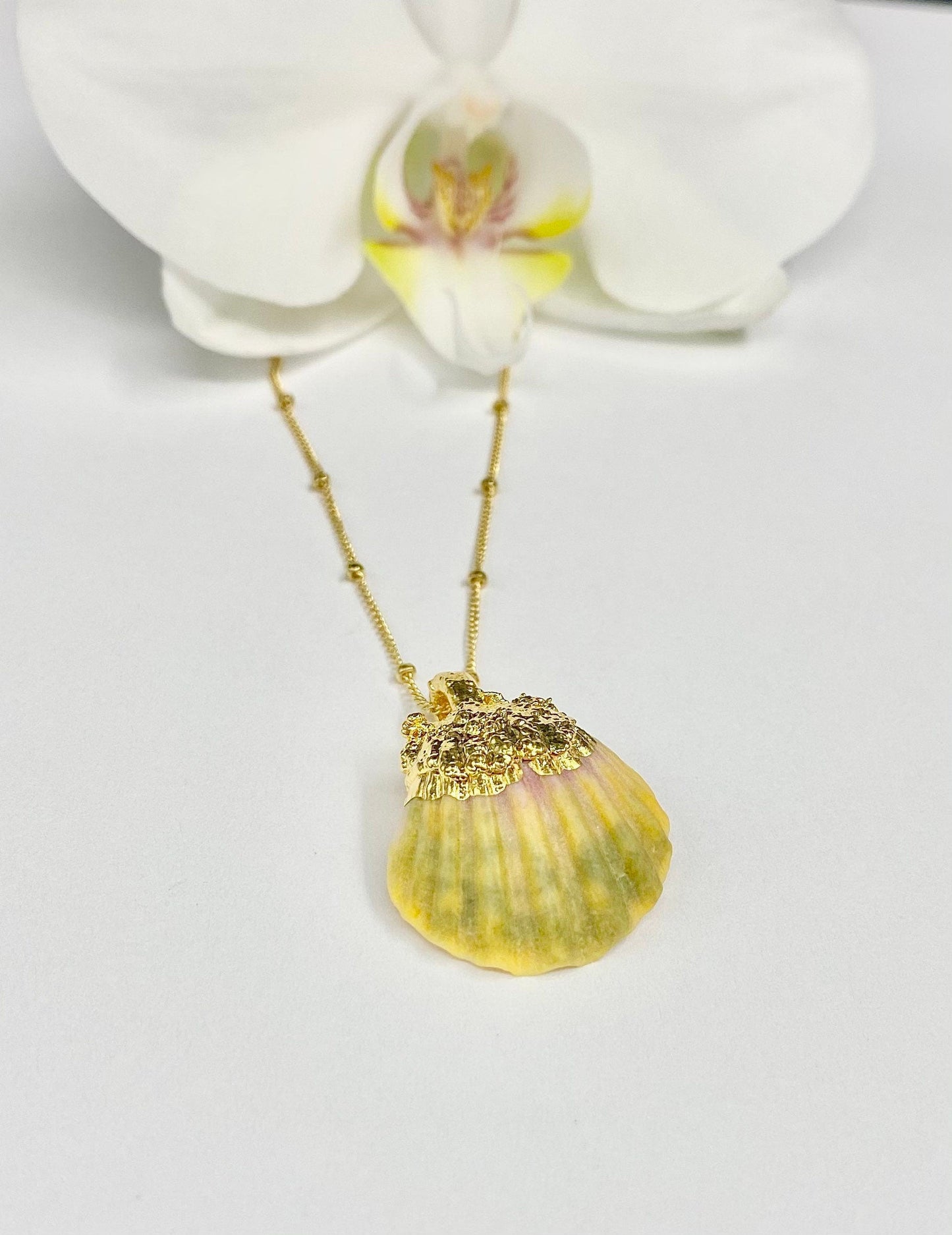 Gold dipped sunrise shell