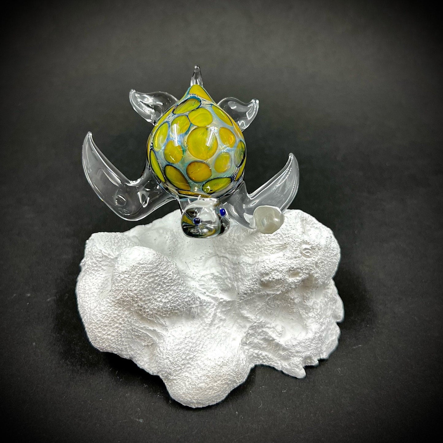 Exotic Glass Sea Turtle fin mount