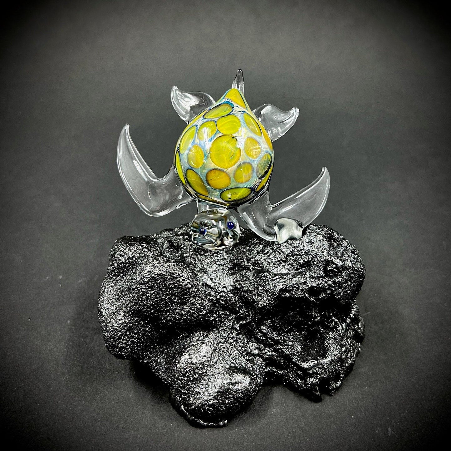 Exotic Glass Sea Turtle fin mount