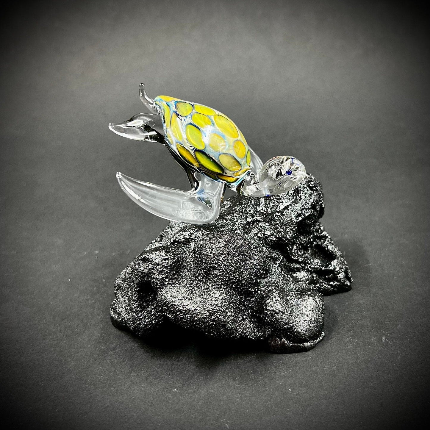 Exotic Glass Sea Turtle fin mount