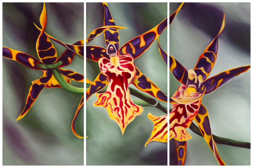 Sunset Spider Orchids Limited Edition Giclee