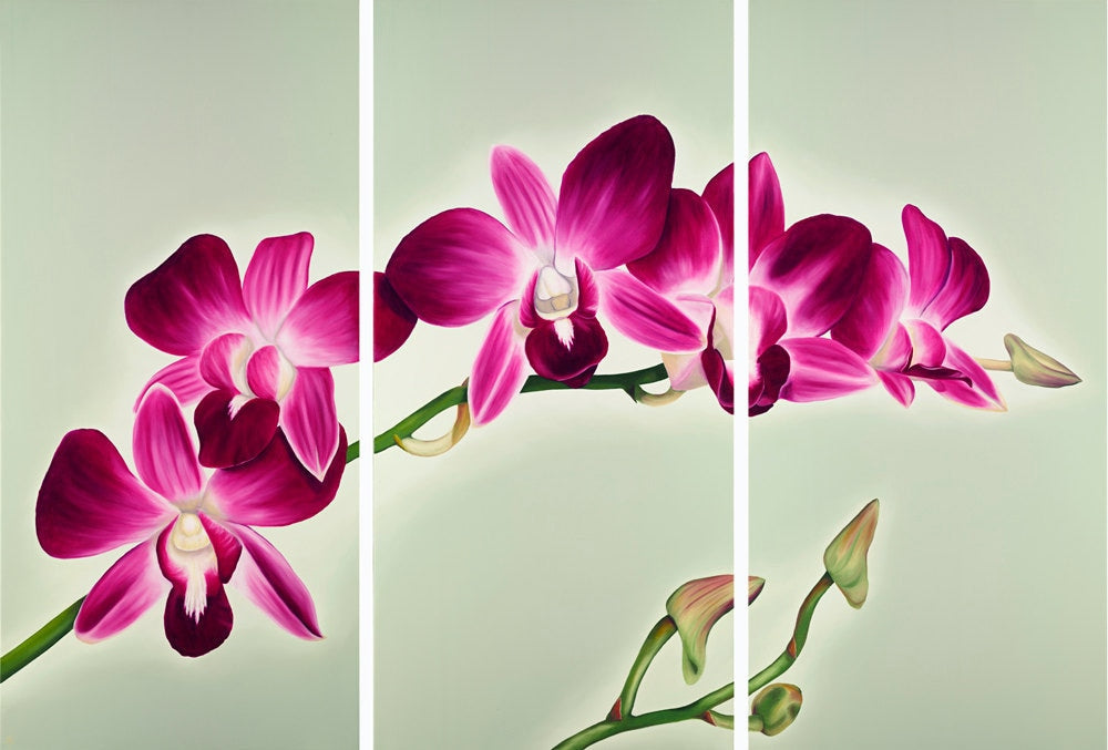 Aloha Orchids Limited Edition Giclee