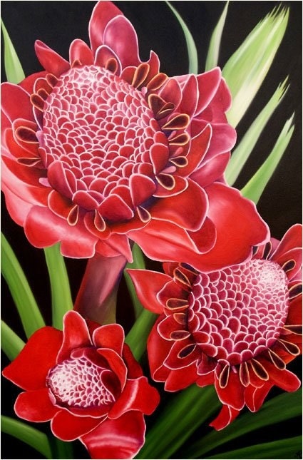 Torch Ginger Limited Edition Giclee