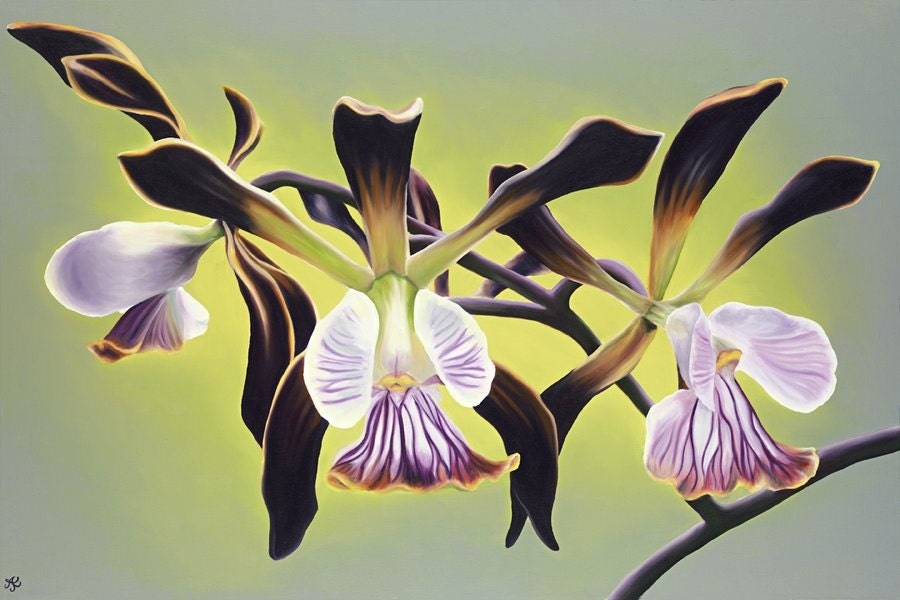 Chocolate Orchids Limited Edition Giclee