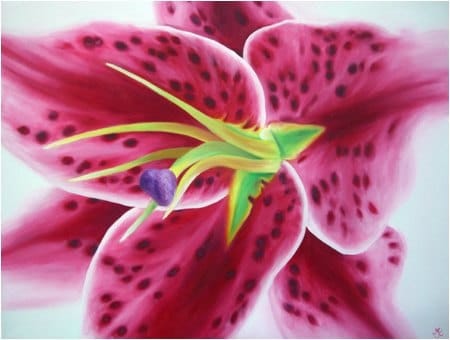Stargazer Lily Limited Edition Giclee