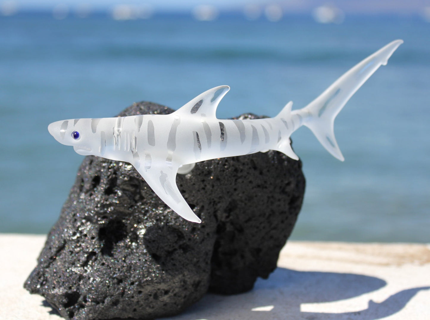 Tiger Shark glass sculpture-2