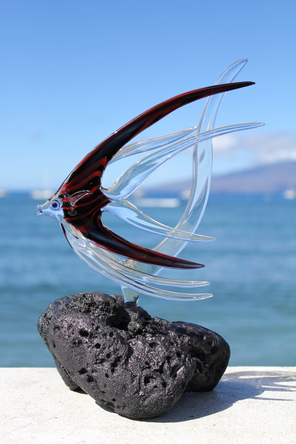 Build your own Angelfish glass sculpture