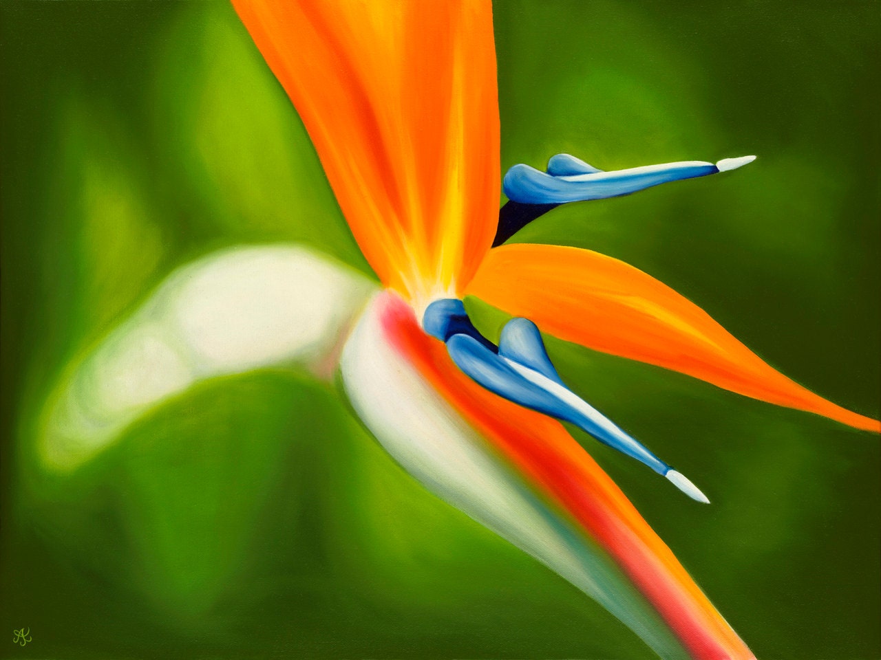 Pretty Bird Limited Edition Giclee