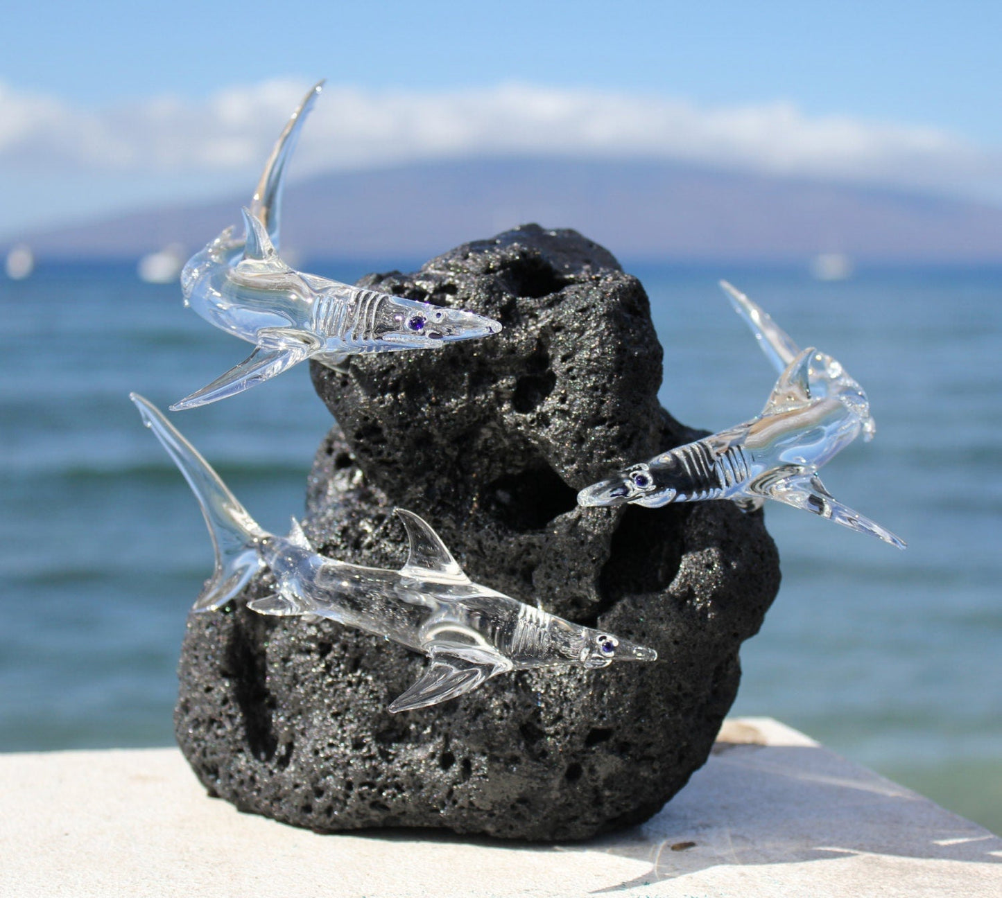 Hawaiian Reef Shark glass sculpture