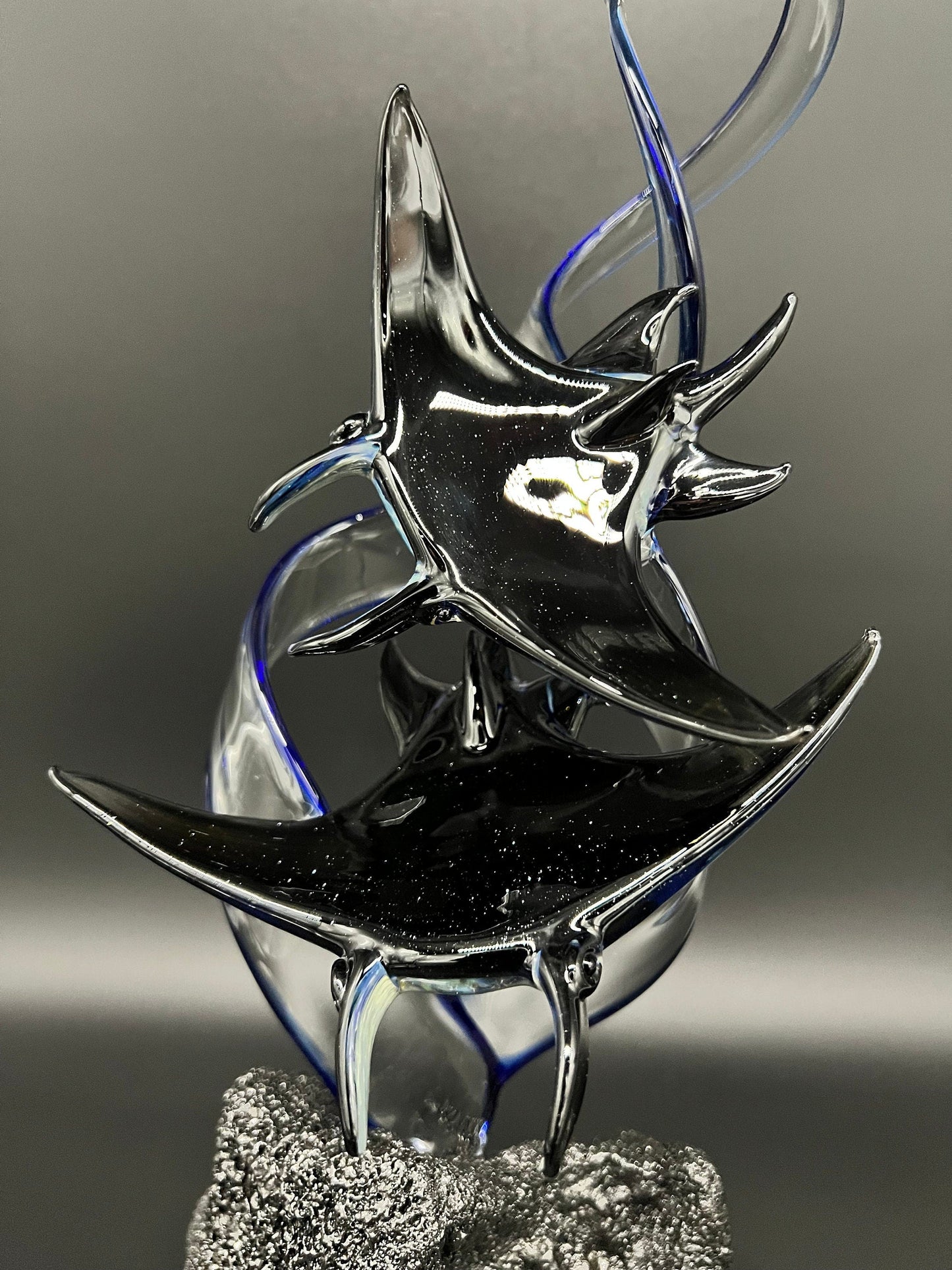 Double Manta Rays-1