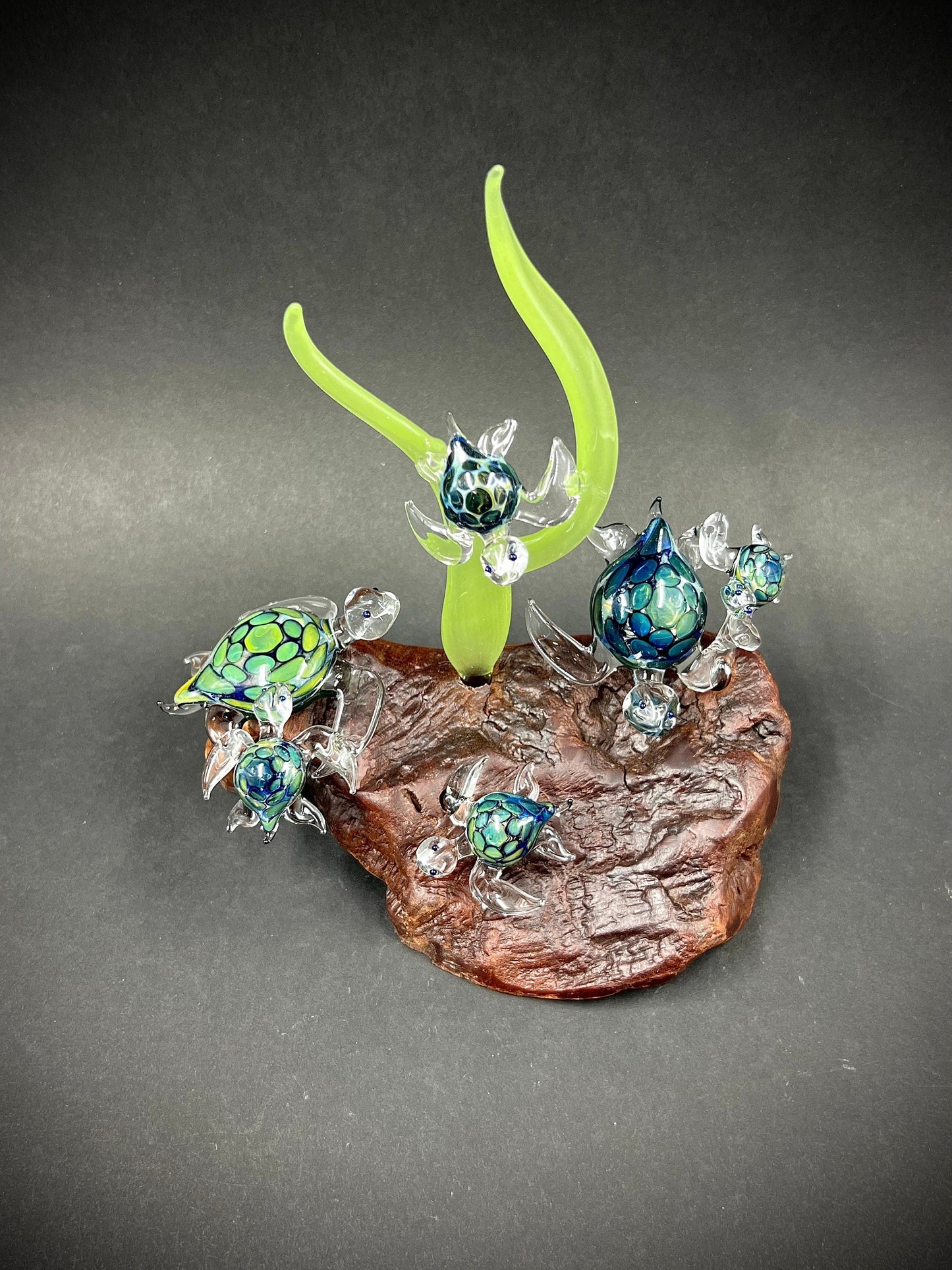 Ohana of six sea turtles