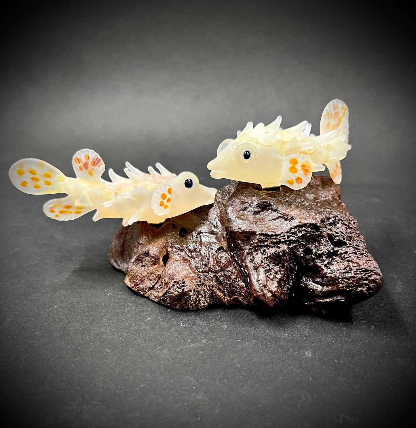 A Pair of Maui Pufferfish