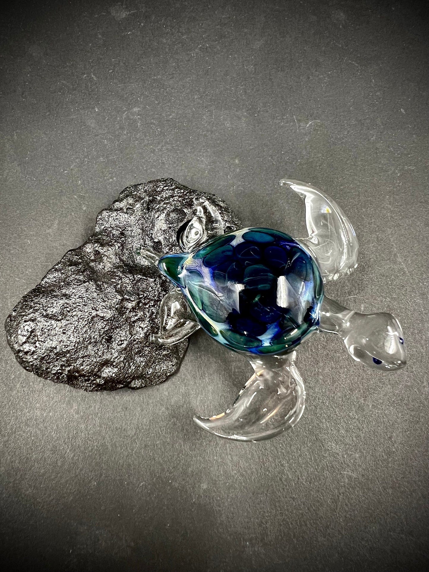 Glass Sea Turtle larger size-5