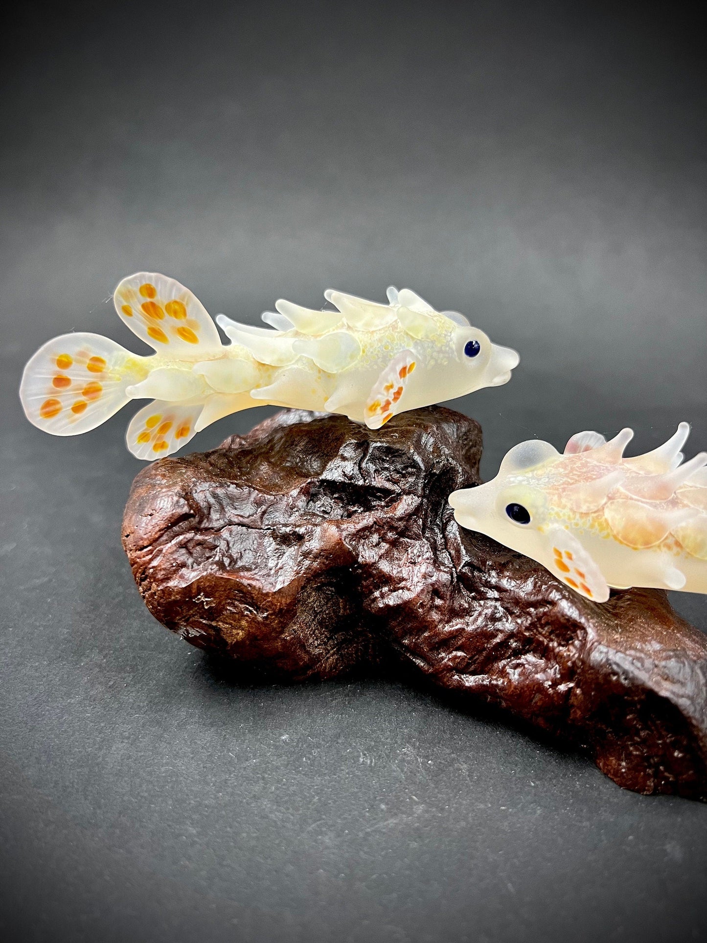 A Pair of Maui Pufferfish