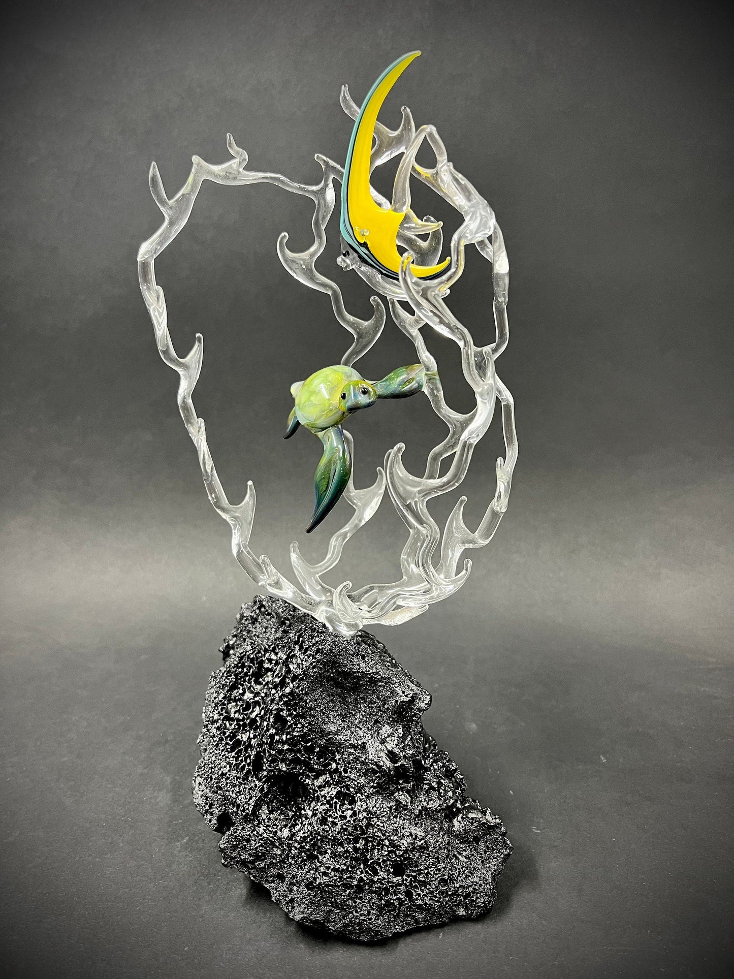 Turtle and angelfish in a Coral