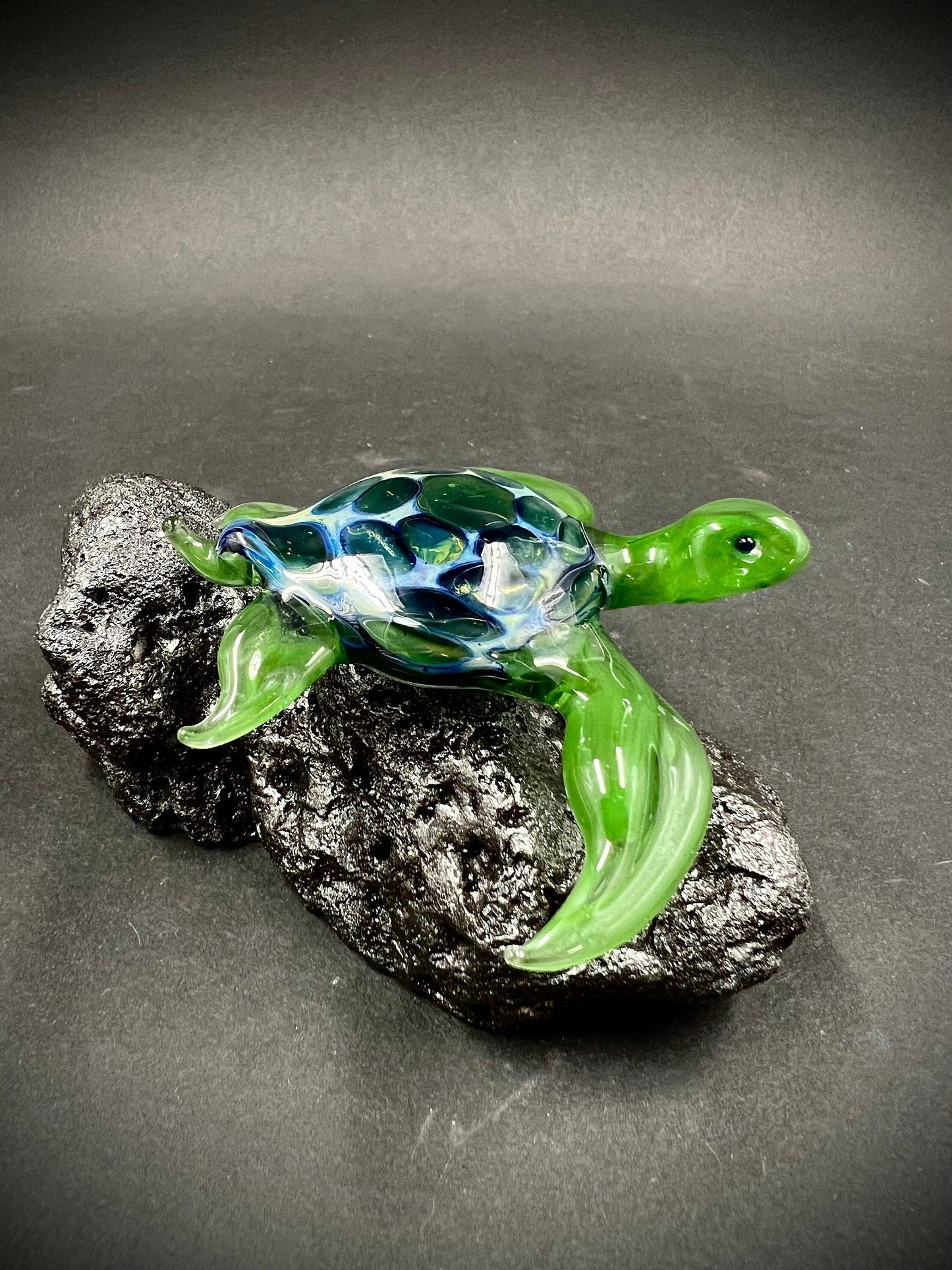 Glass Sea Turtle larger size-7