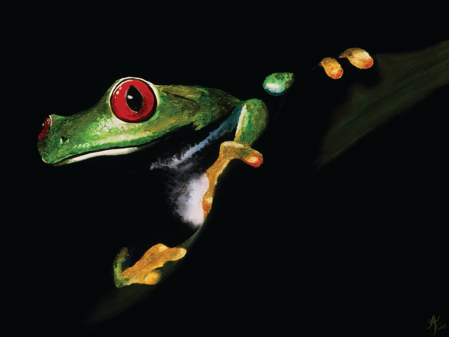 Froggy Series Giclees – Kai Pua Gallery
