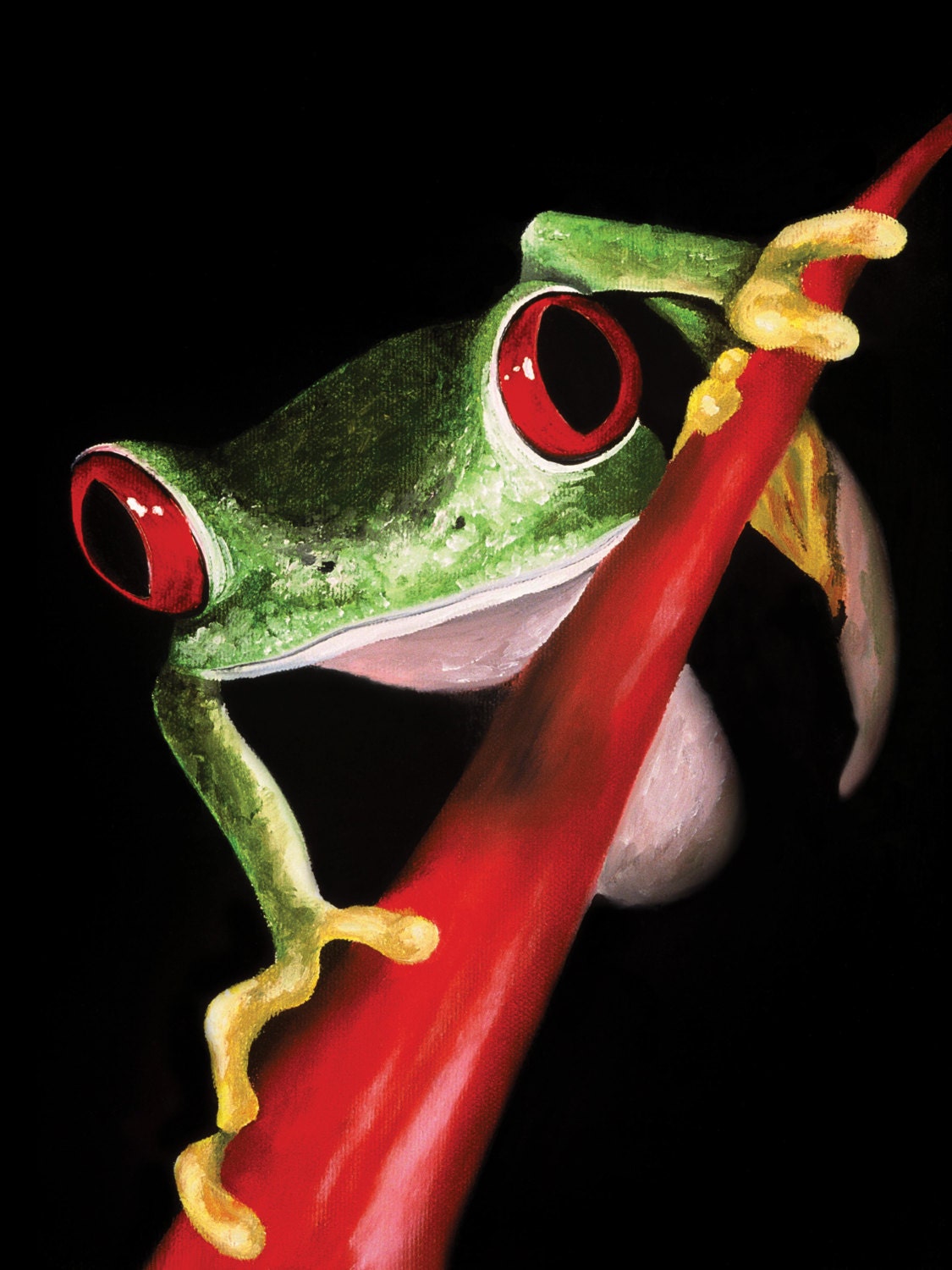 Froggy Series Aluminum Prints