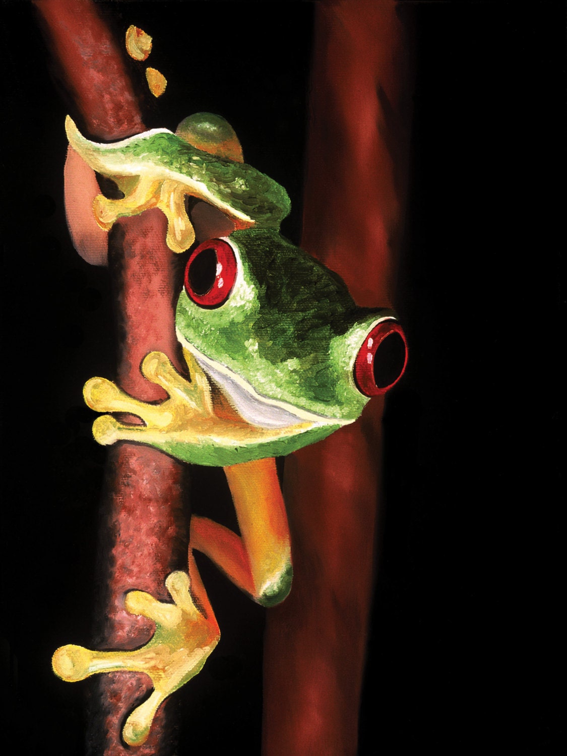 Froggy Series Aluminum Prints