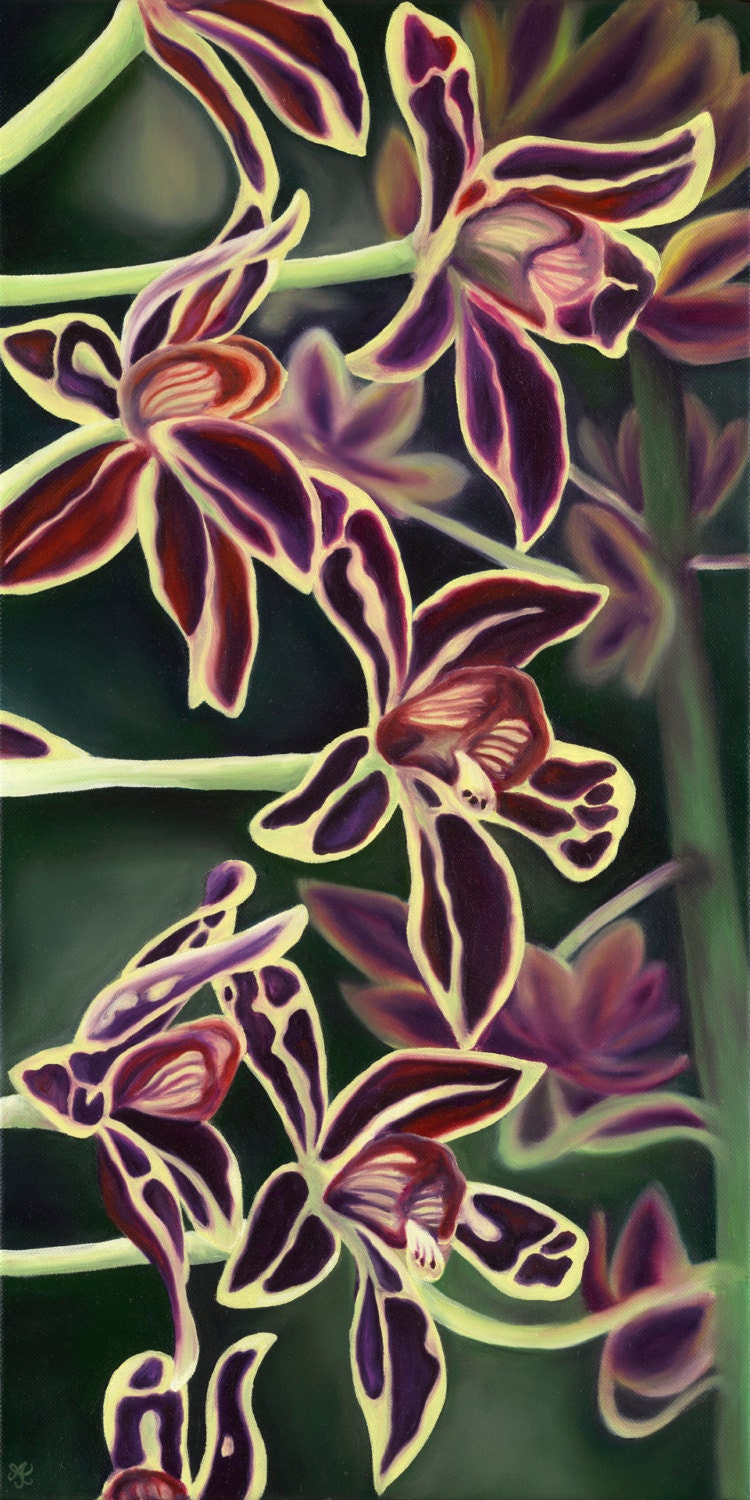 Magentle Orchids Limited Edition Giclee