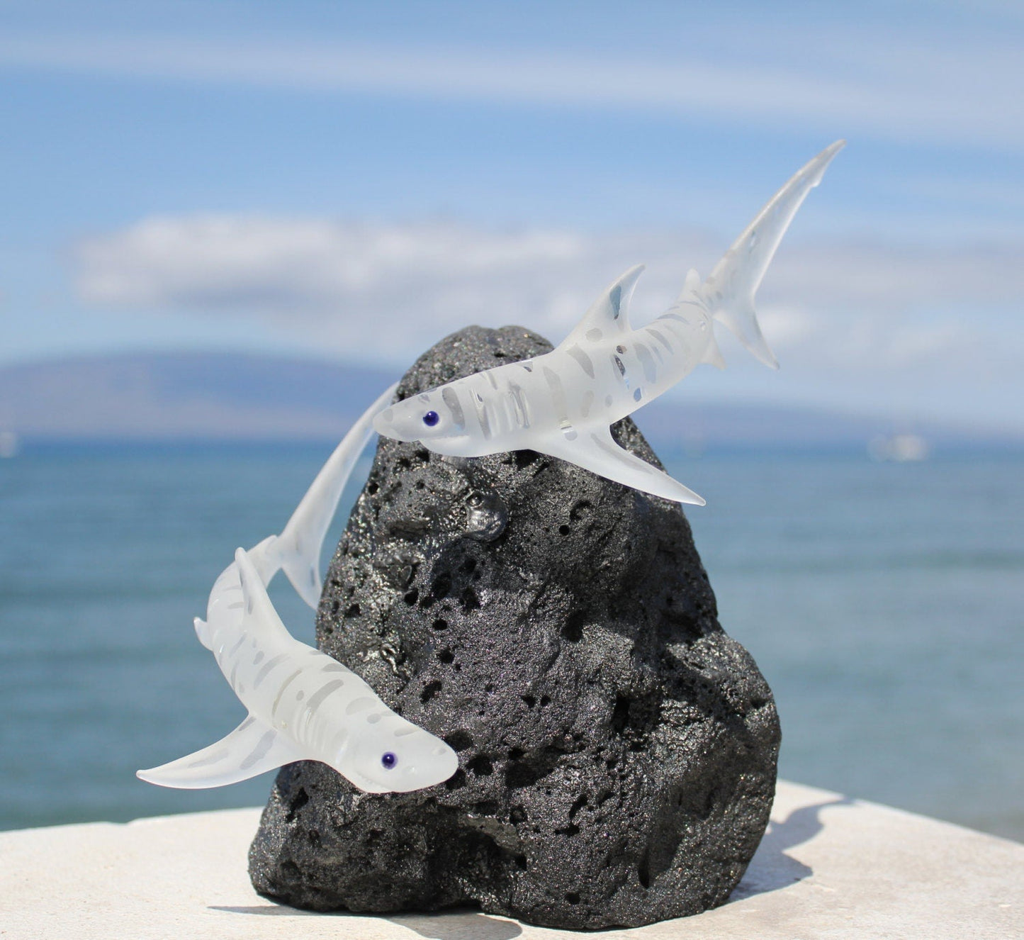 Tiger Shark glass sculpture-2