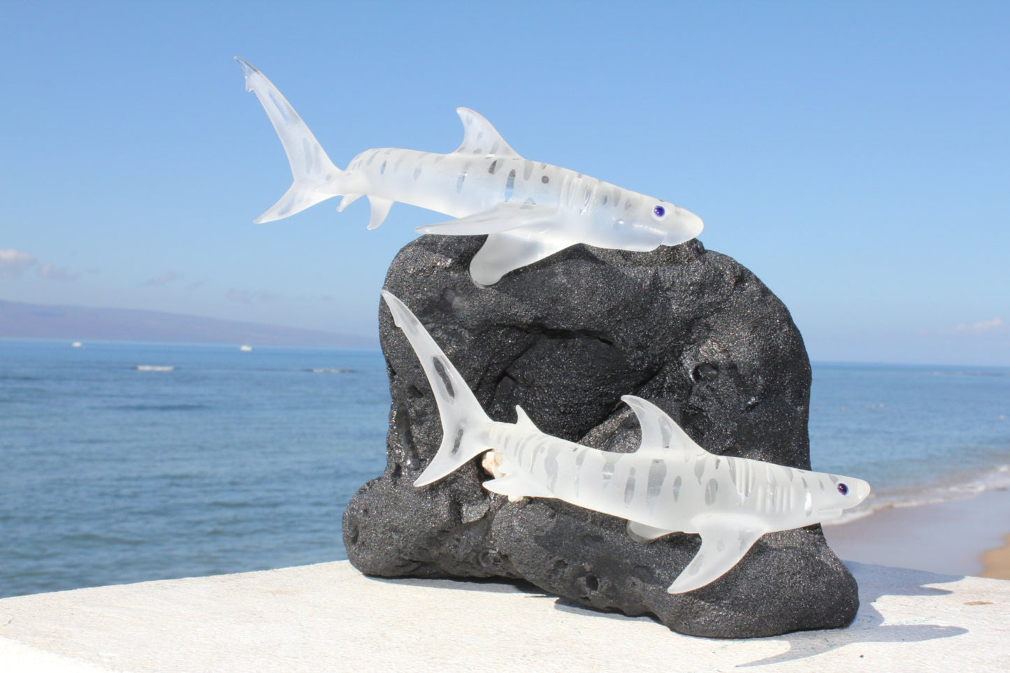 Tiger Shark glass sculpture-2