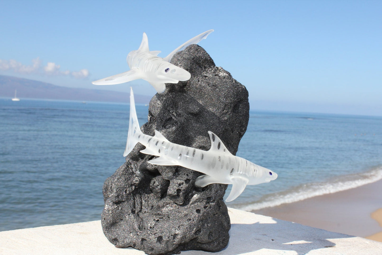 Tiger Shark glass sculpture-2