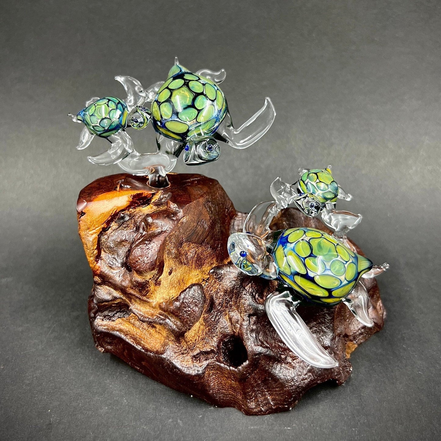 Ohana Turtles Made to Order your family as green exotic glass Hawaiian Sea Turtles set on a manzanita Burl