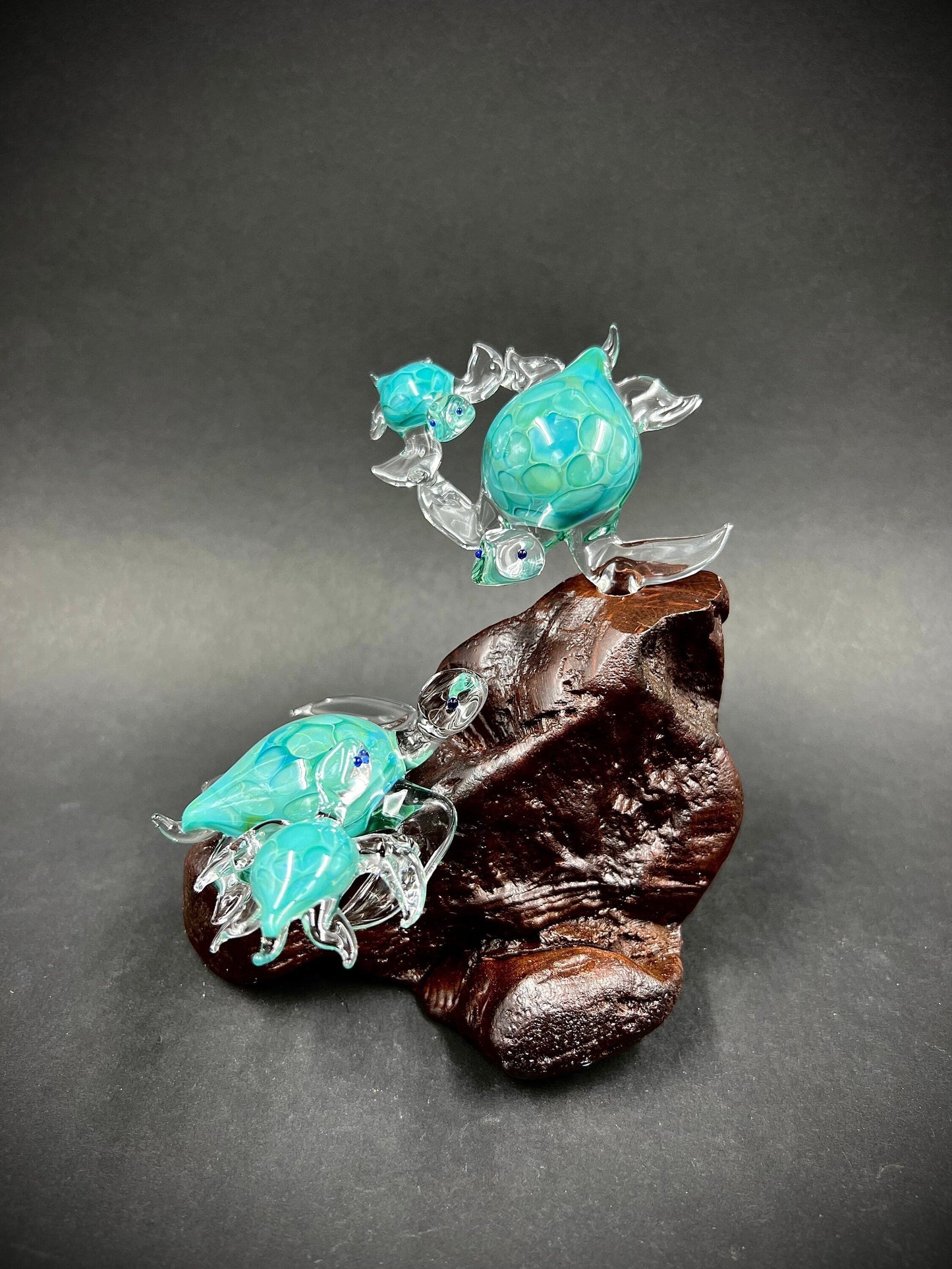 Ohana Turtles Made to Order your family as silver aqua glass Hawaiian Sea Turtles set on a manzanita Burl