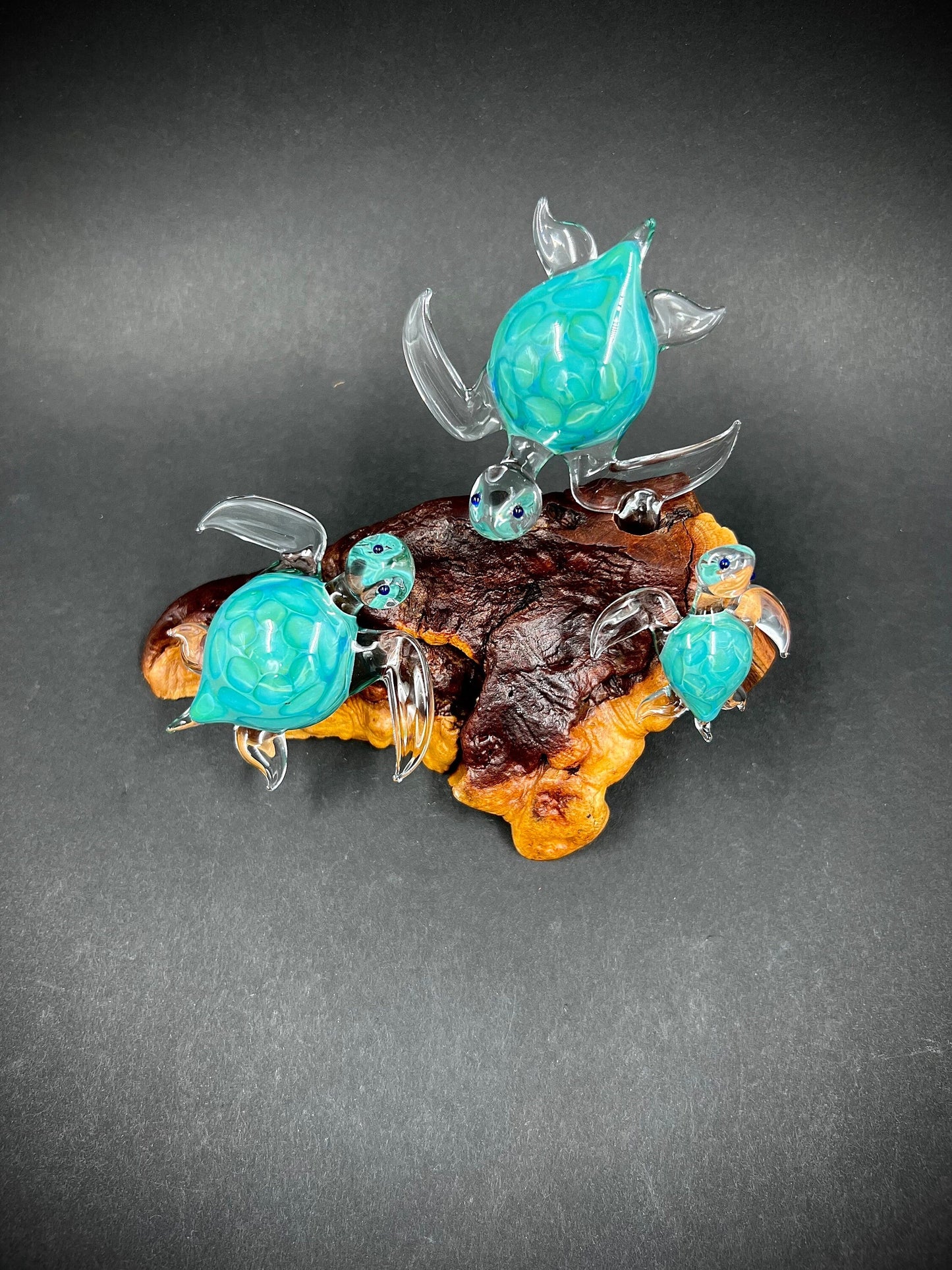 Ohana Turtles Made to Order your family as silver aqua glass Hawaiian Sea Turtles set on a manzanita Burl