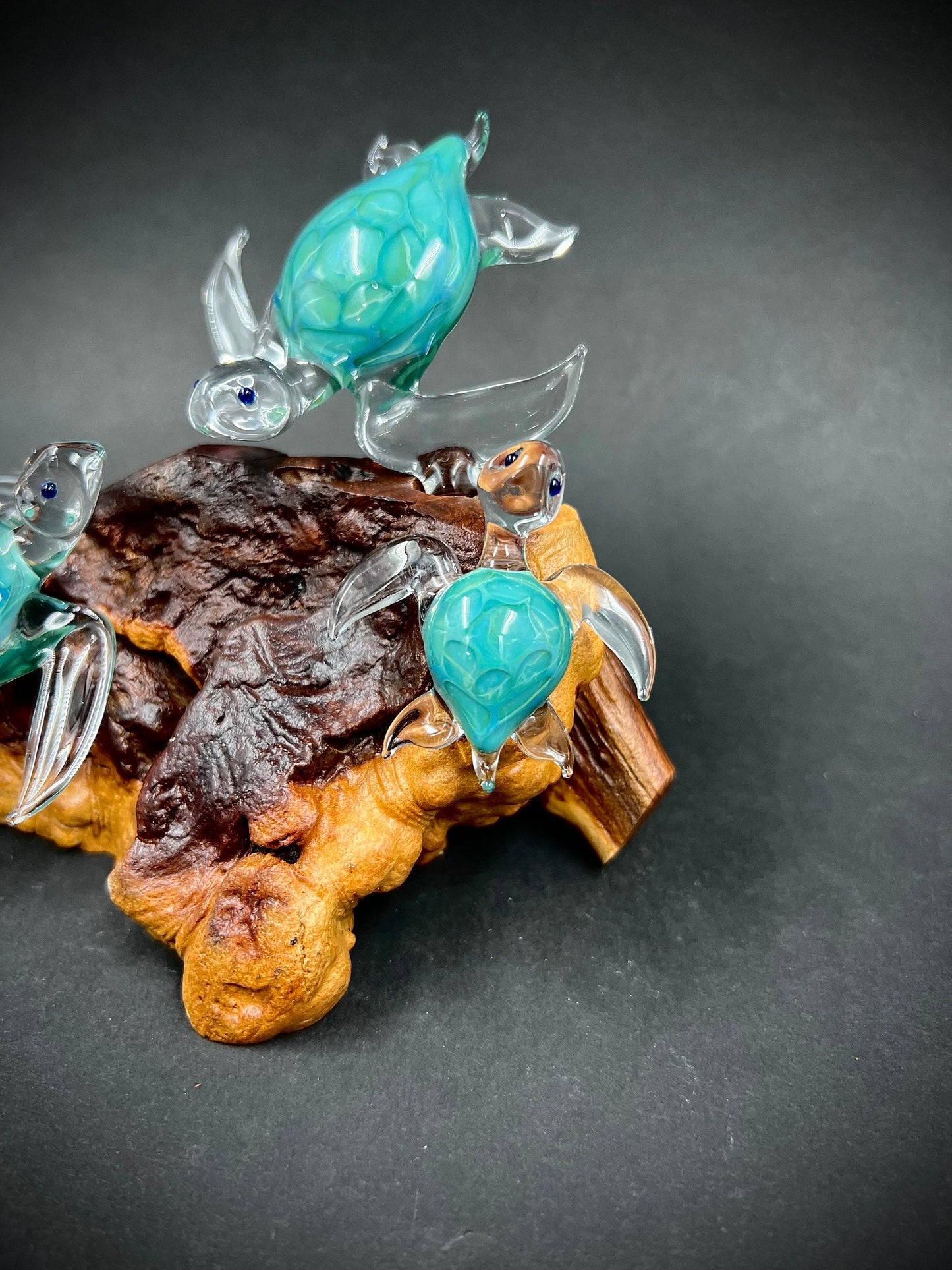 Ohana Sea Turtle family of 3 glass sculpture-1