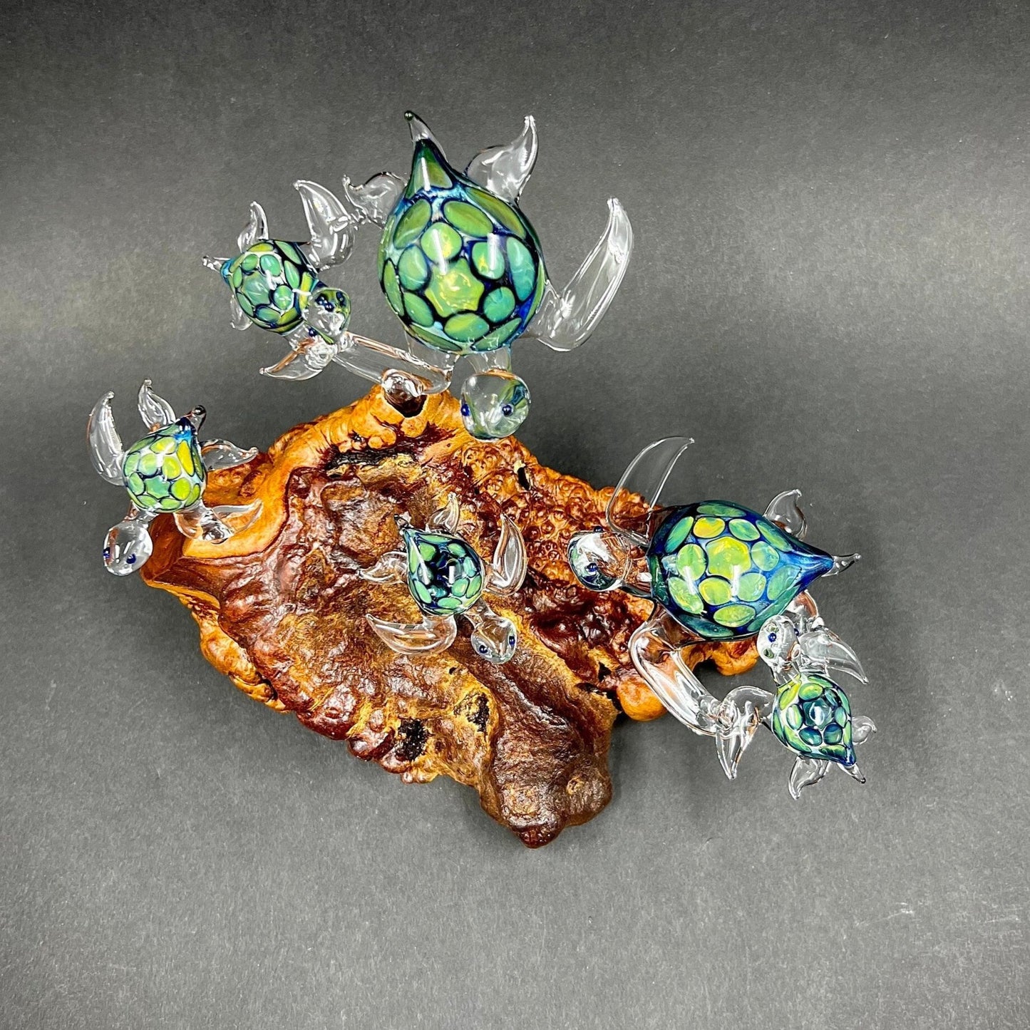 Ohana Turtles Made to Order your family as green exotic glass Hawaiian Sea Turtles set on a manzanita Burl