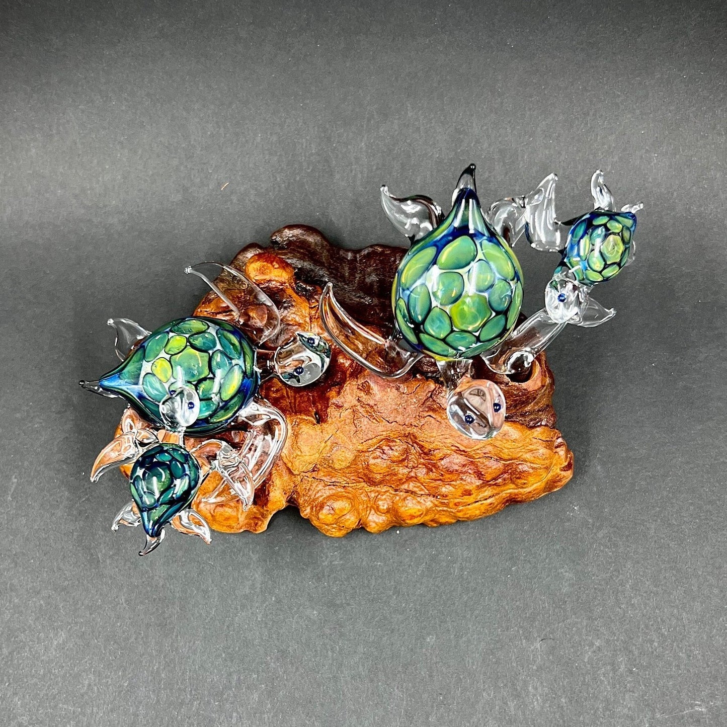 Ohana Turtles Made to Order your family as green exotic glass Hawaiian Sea Turtles set on a manzanita Burl