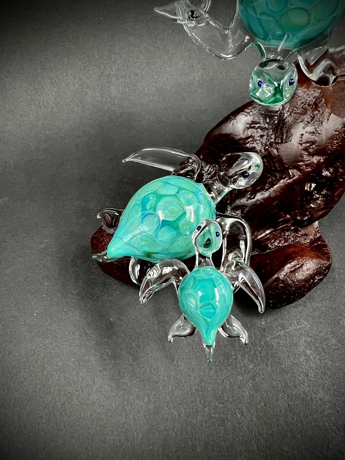 Ohana Turtles Made to Order your family as silver aqua glass Hawaiian Sea Turtles set on a manzanita Burl