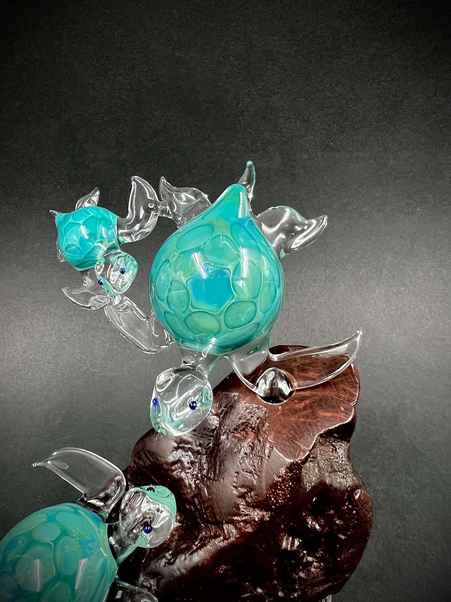 Ohana Turtles Made to Order your family as silver aqua glass Hawaiian Sea Turtles set on a manzanita Burl