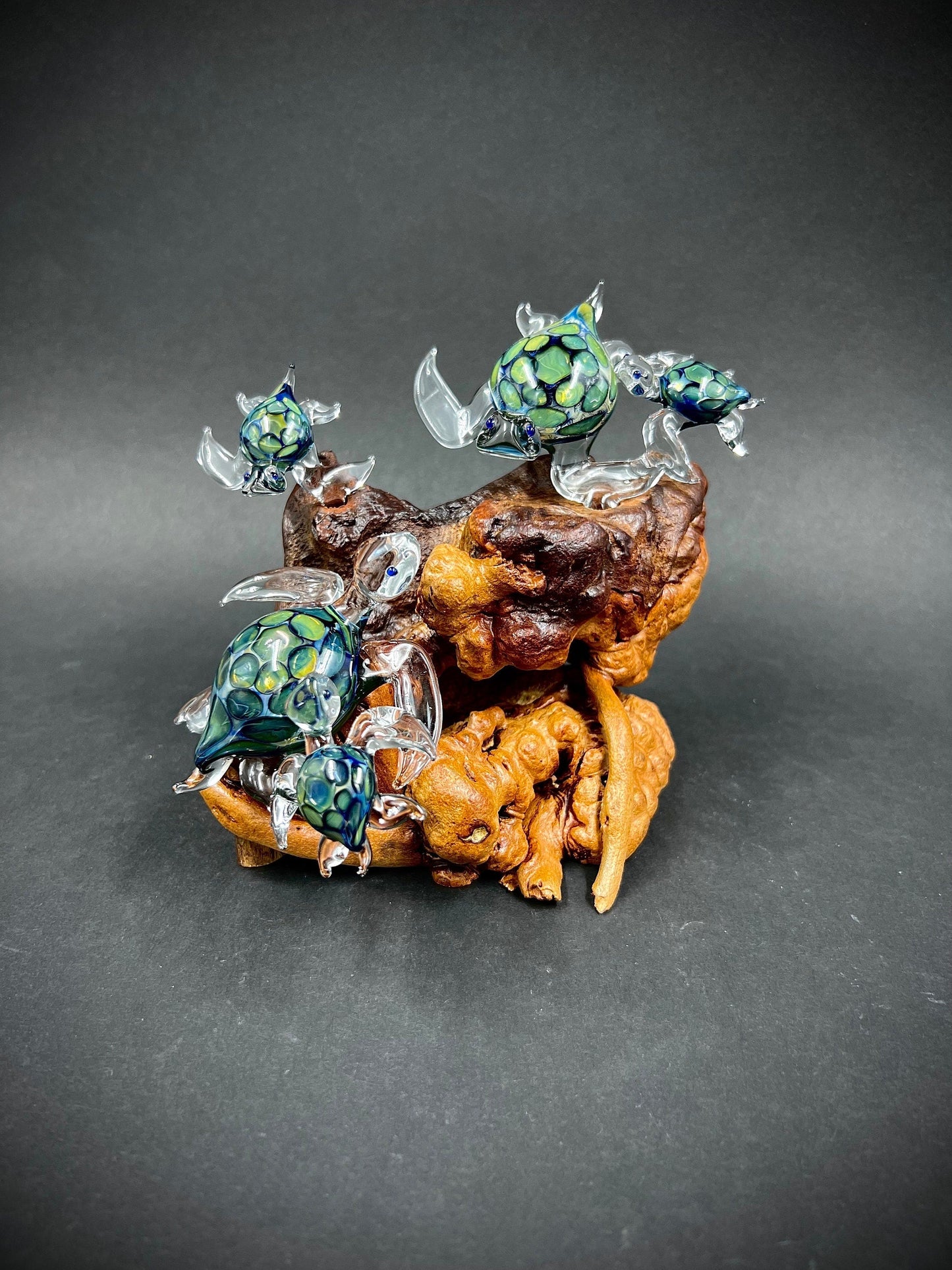 Ohana Sea Turtle family of 5 glass sculpture