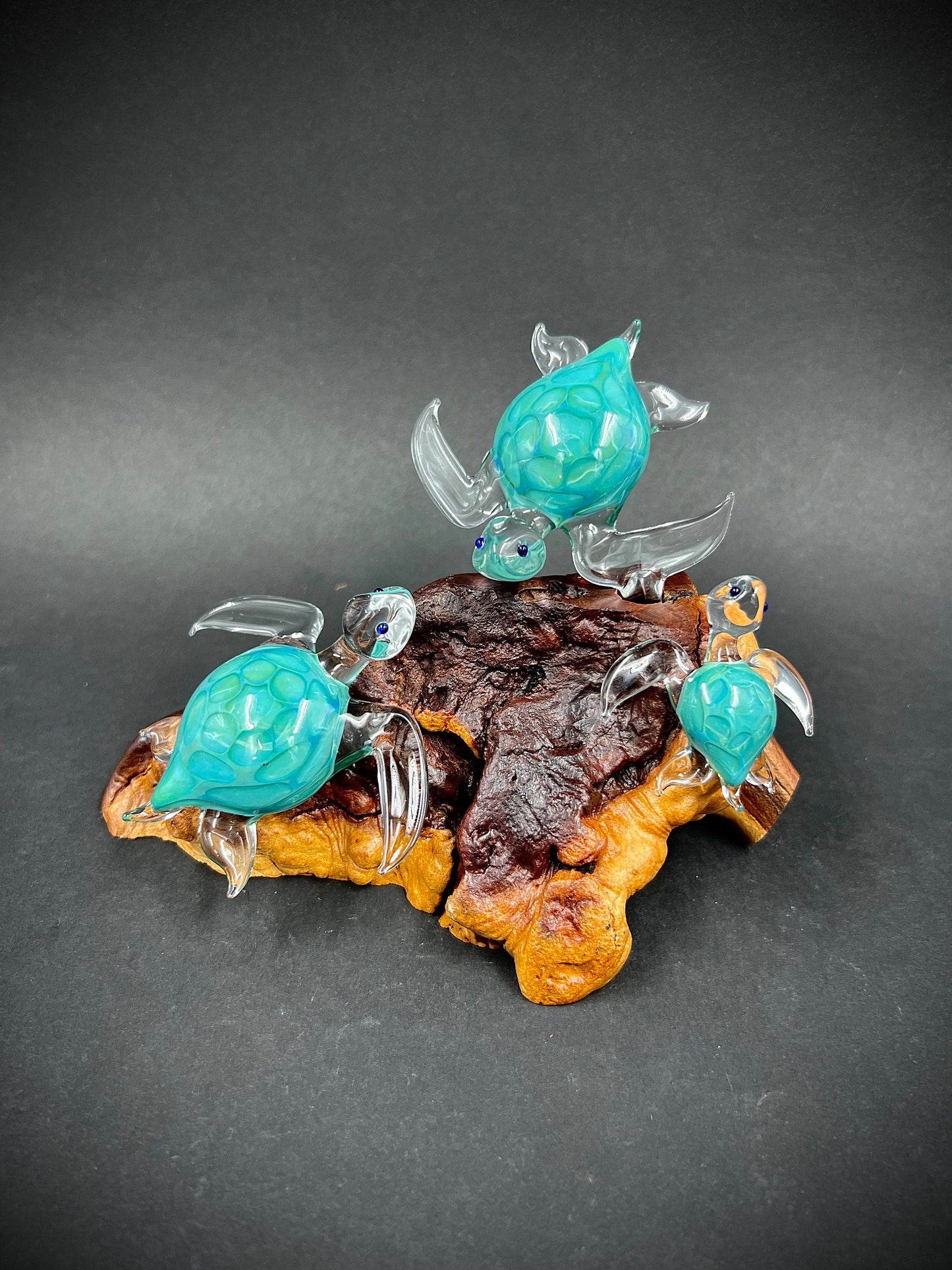 Ohana Sea Turtle family of 3 glass sculpture-1