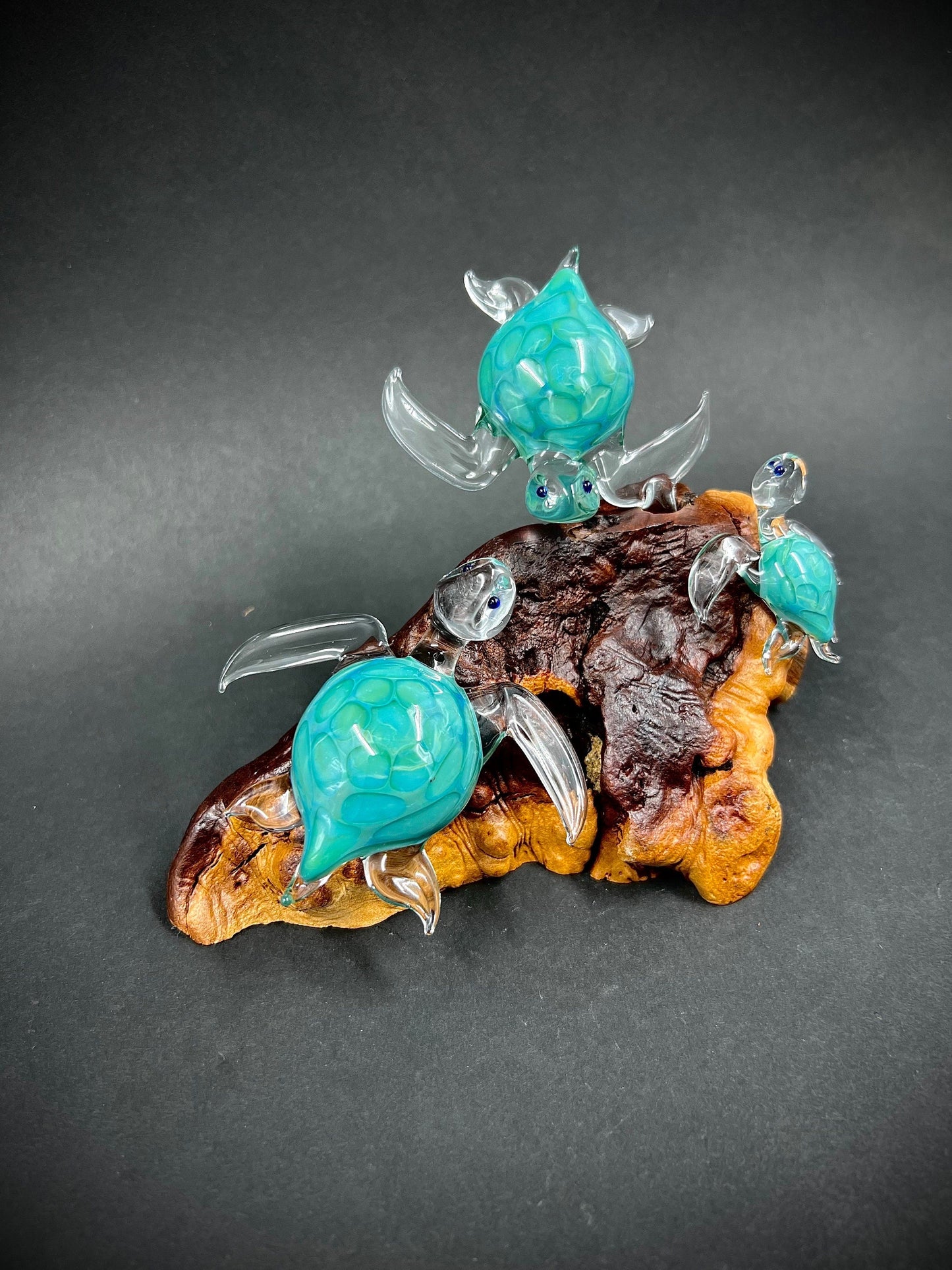 Ohana Sea Turtle family of 3 glass sculpture-1