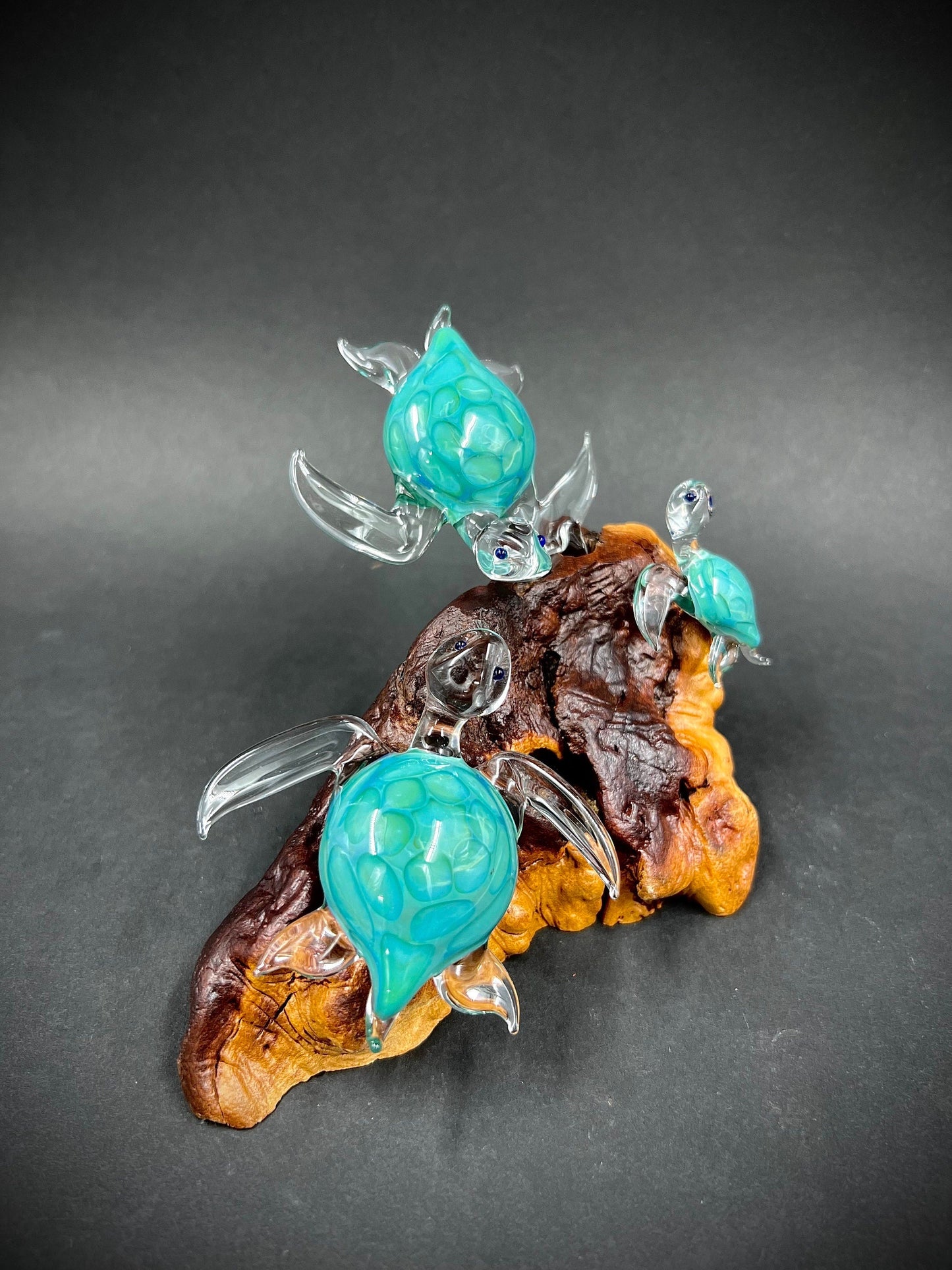 Ohana Sea Turtle family of 3 glass sculpture-1