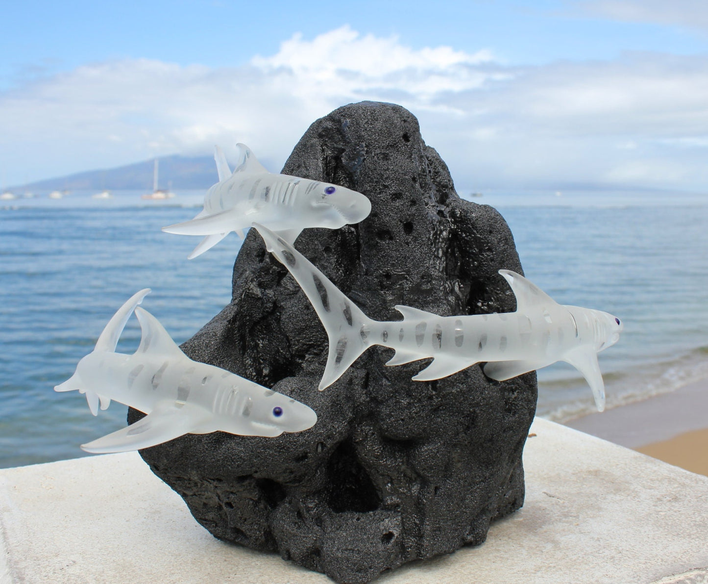 Tiger Shark glass sculpture-2