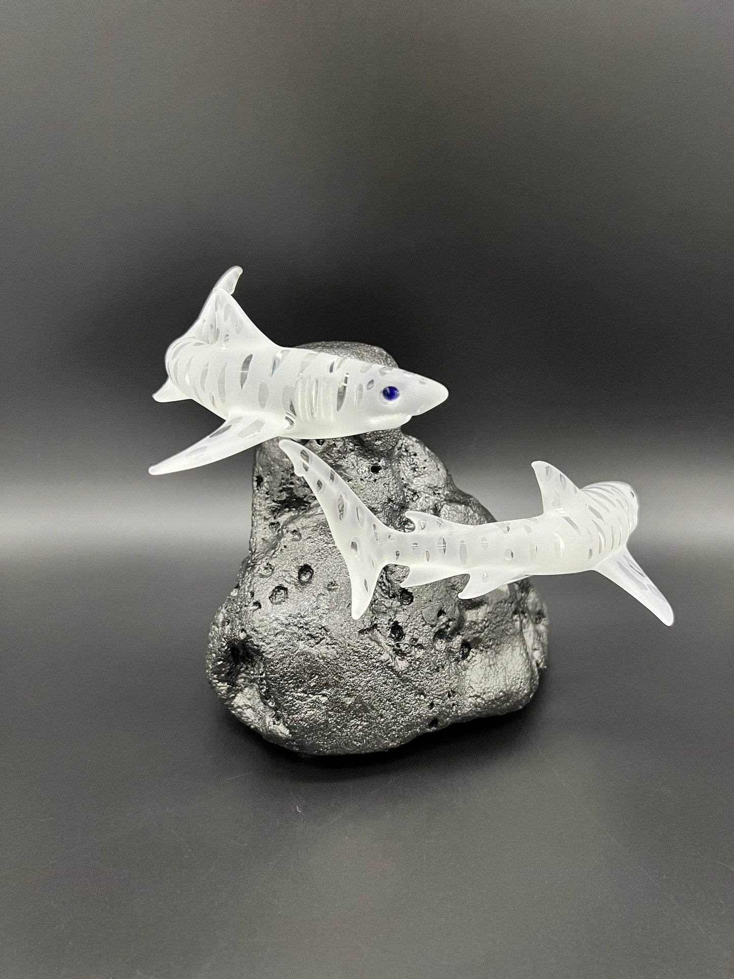 Double Tiger shark glass sculpture