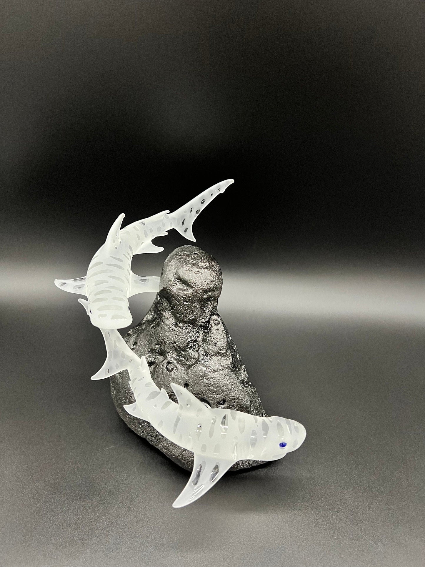 Double Tiger shark glass sculpture