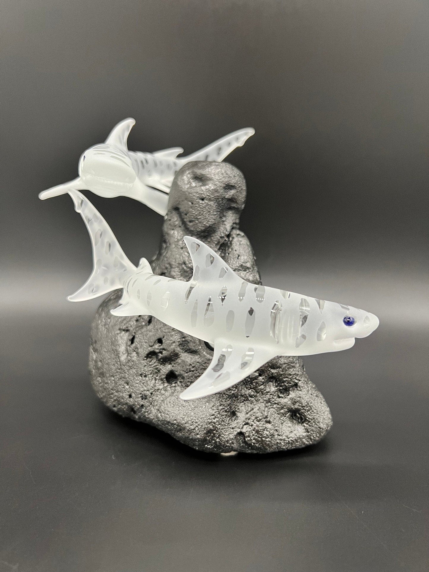 Double Tiger shark glass sculpture