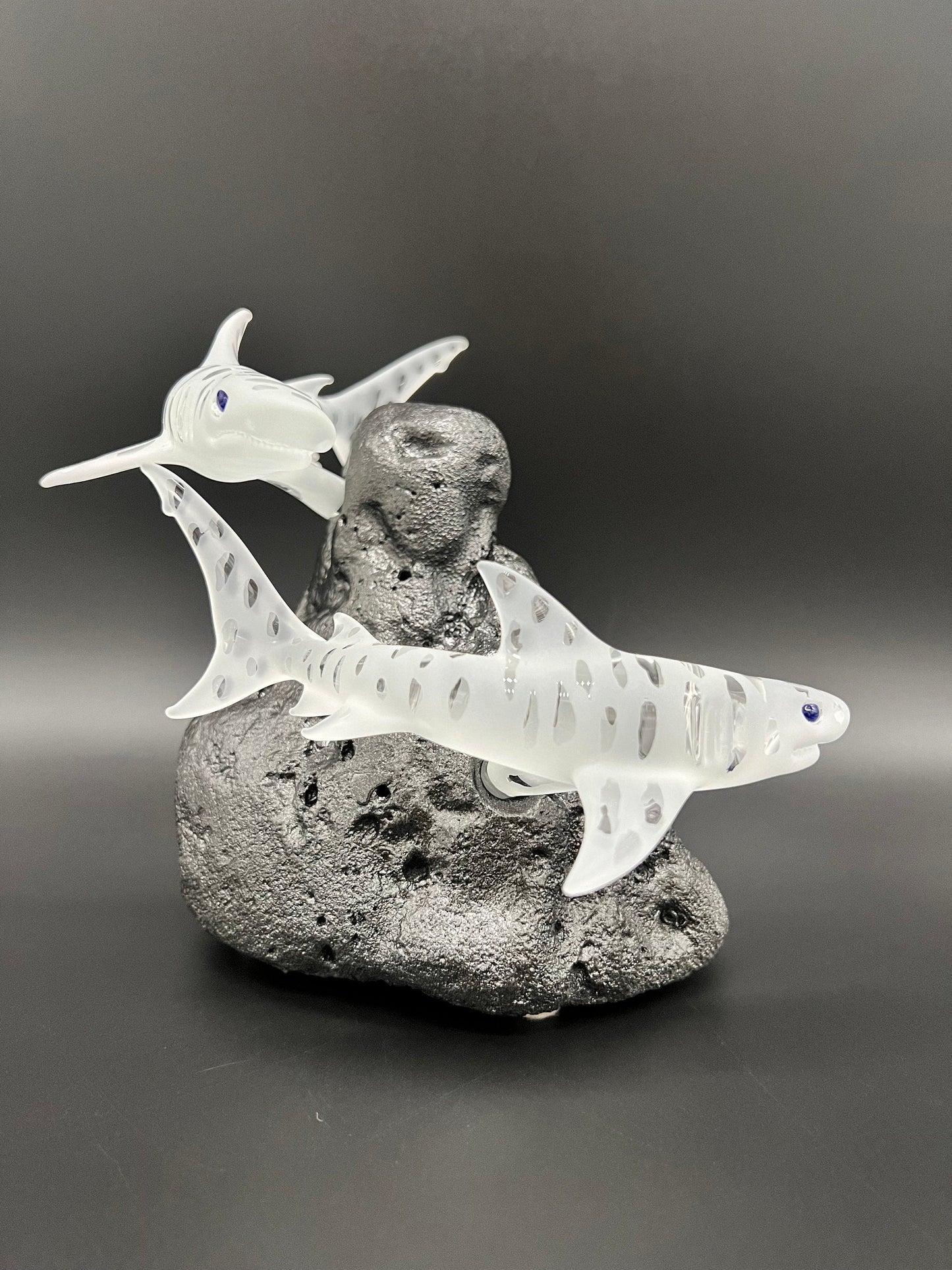Double Tiger shark glass sculpture